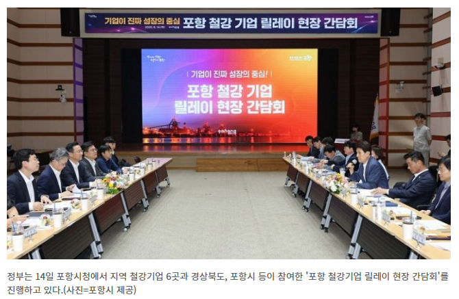 포항 철강위기 대응 (통상이슈&middot;탄소R&amp;D&middot;금융지원)