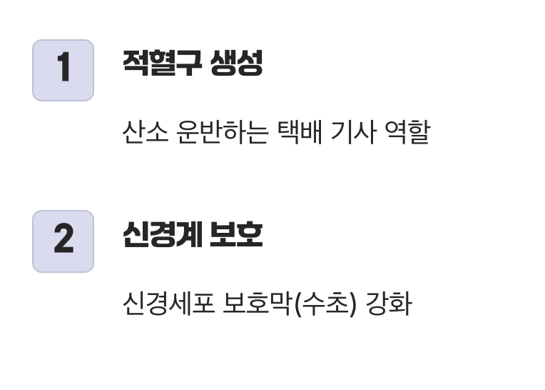 '에너지 비타민' B12, 왜 그렇게 중요할까?