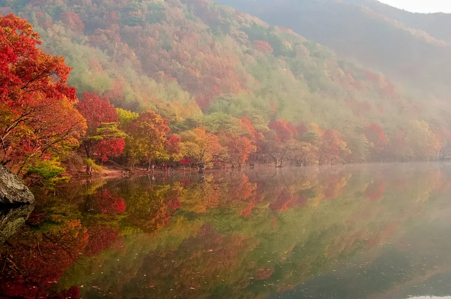 2023-๊ฐ์-๋จํ-์ฌํ-์ถ์ฒ-์ฒญ์ก-์ฃผ์ฐ์ง