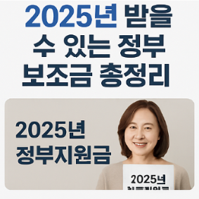 2025년 정부 보조금