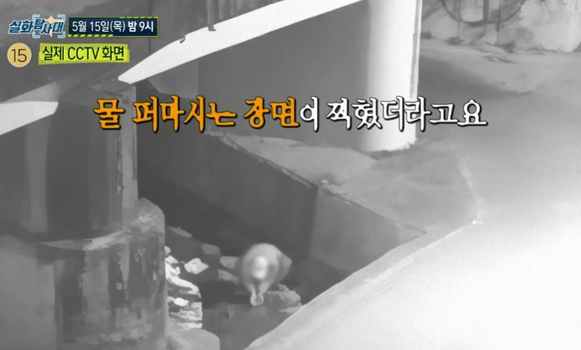 실화탐사대 화순천 사망사건 방송화면