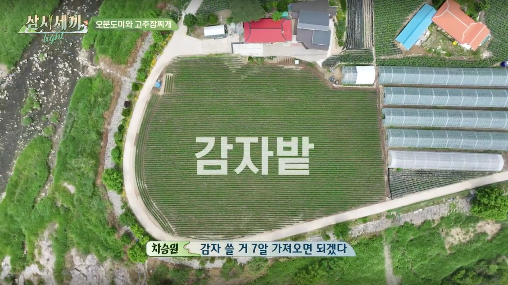 삼시세끼 라이트