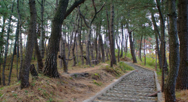 울진 가볼만한곳 베스트10