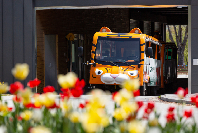 백두대간 수목원