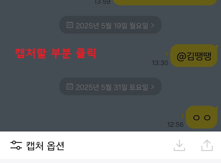 어두워진 채팅방 보임