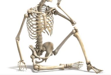 뼈에 금이 갔을 경우