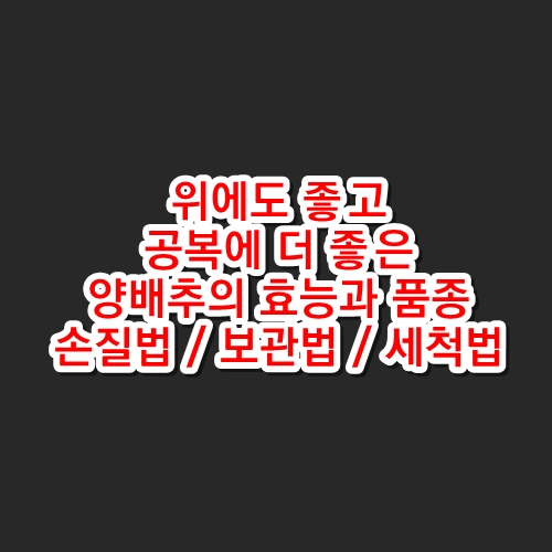 양배추의 효능과 품종, 양배추 손질 및 보관과 세척법(위에 좋지만, 공복에도 좋은)