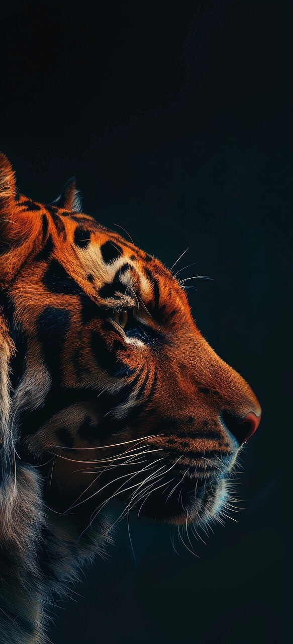 🐯2025년8월호랑이띠운세