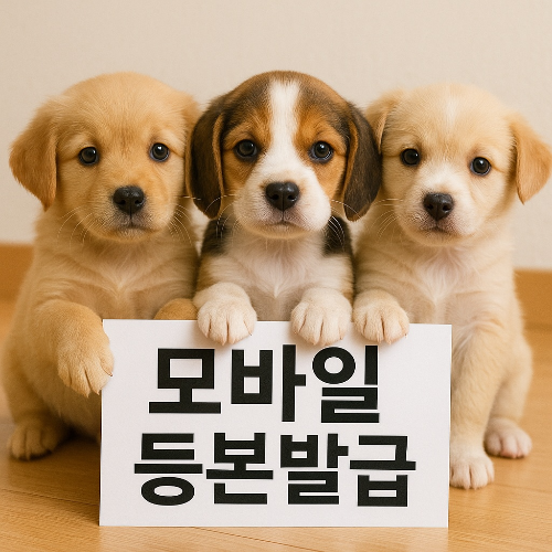 모바일 등본발급