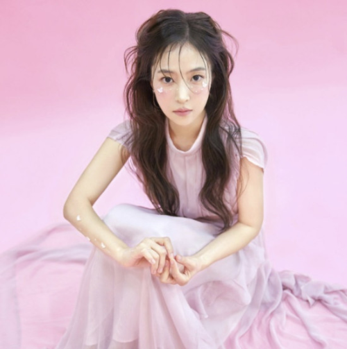 가수 홍자 데뷔