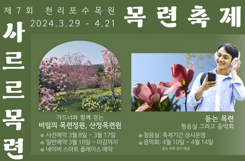천리포수목원 목련축제