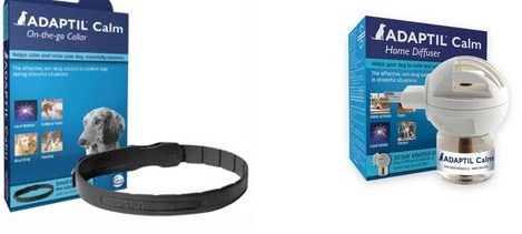 분리불안을 줄여주는 어뎁틸 제품