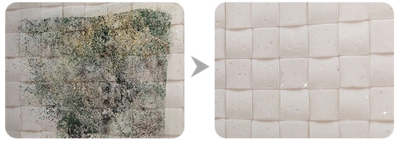 곰팡이 제거제 젤형태 벽지 천장8