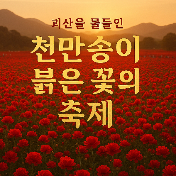 천만송이 빨간 꽃 향연, 2025 괴산빨간맛페스티벌 완전 가이드