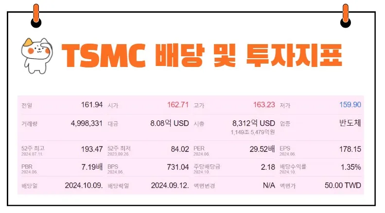 TSMC 배당금