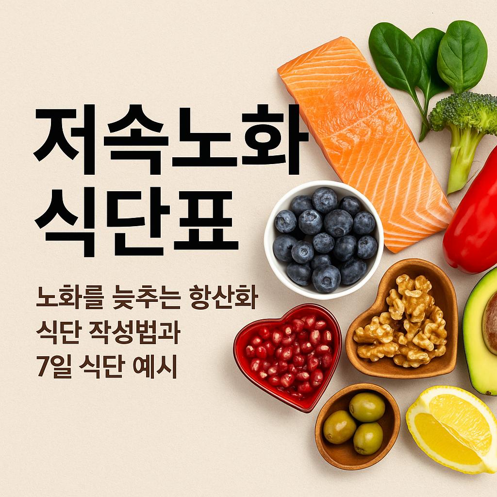저속노화 식단표 사진