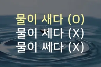 물이 세다 새다 맞춤법 맞는 표현_22