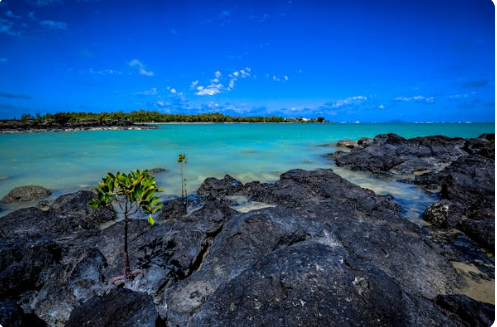 모리셔스 여행 준비물 경비