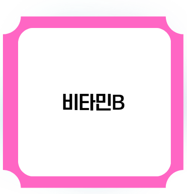 비타민 B