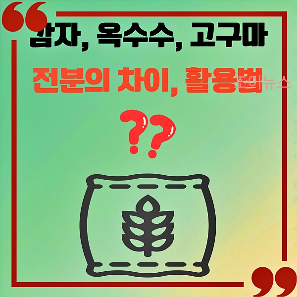 감자, 옥수수, 고구마 전분의 차이점과 활용법 알아보기!