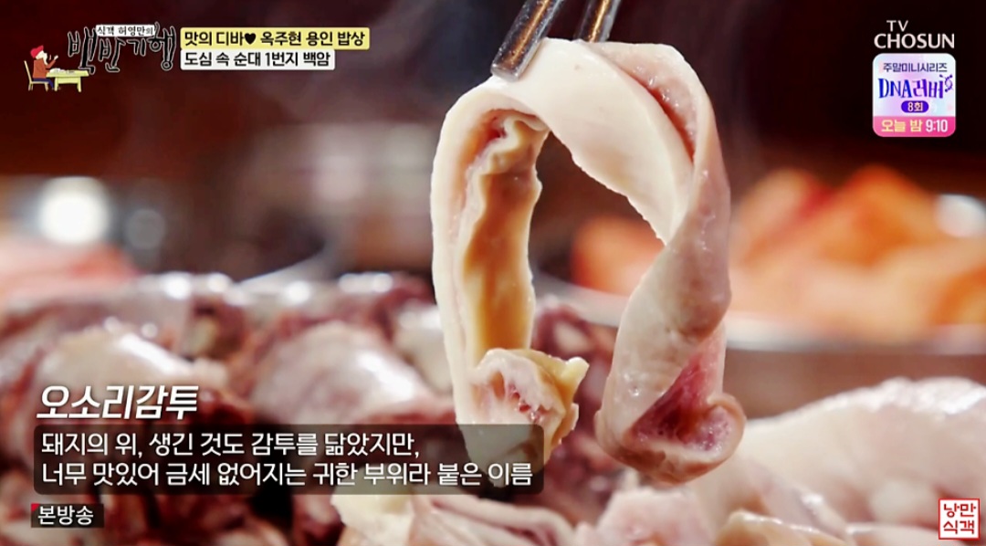 백반기행 용인 맛집(순대국밥&amp;#44; 칼만둣국&amp;#44; 산나물 등갈비찜)