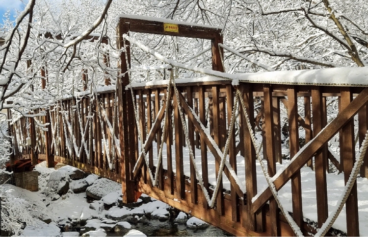 축령산 자연휴양림
