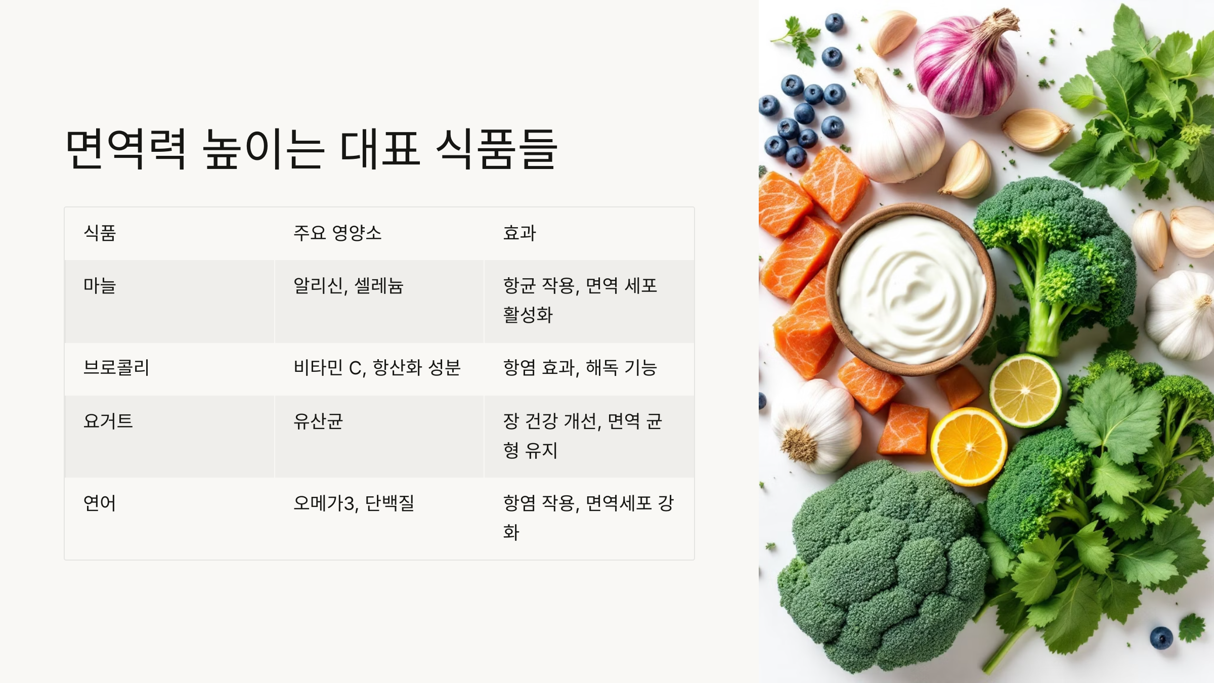 브로콜리 레몬 연어 등 식재료