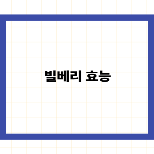 빌베리 효능 &mdash;
의학적으로 검증된 5가지 역할과 영양제의 진실