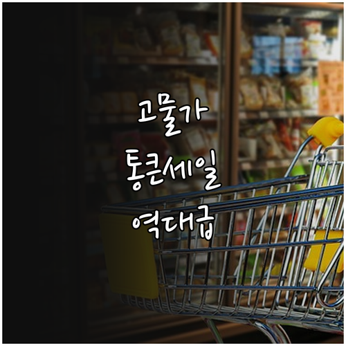 고물가 시대 장보기 혜택 통큰세일 참..