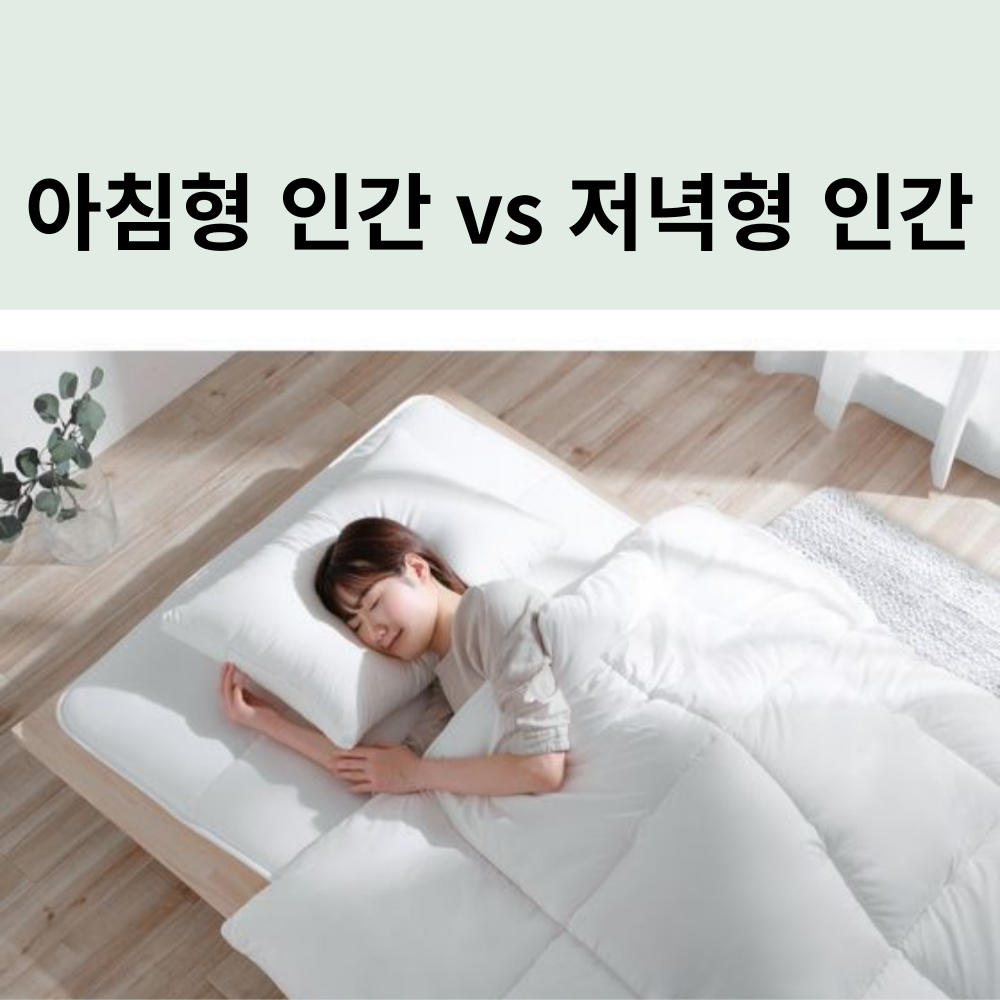 아침형 인간 저녁형 인간