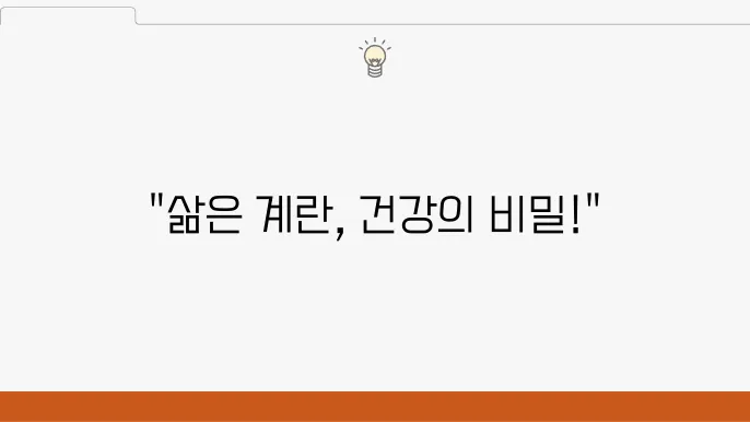 삶은 계란을 통한 건강한 습관