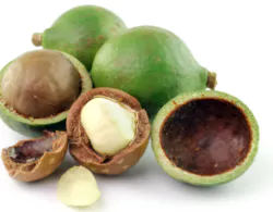 신장에 좋은 음식