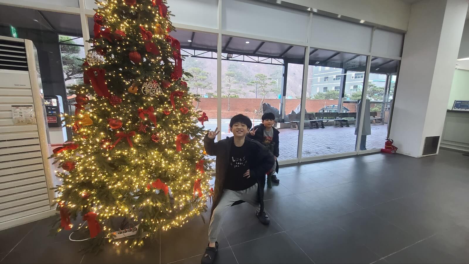 트리