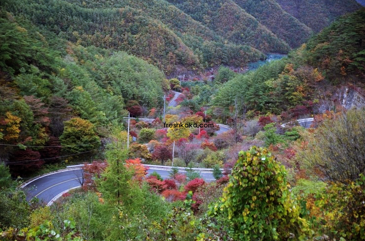 단양 가볼만한곳