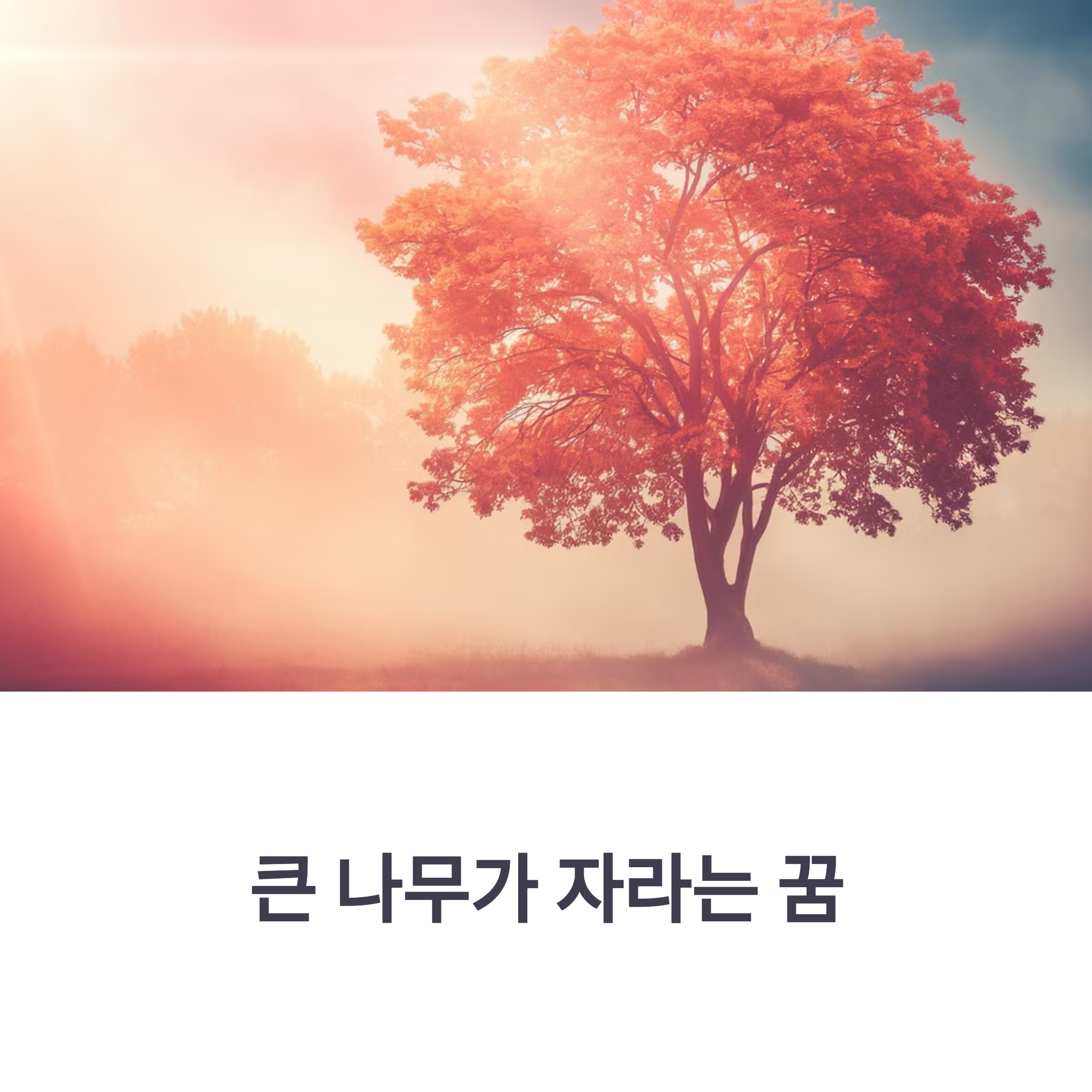 큰 나무가 자라는 꿈