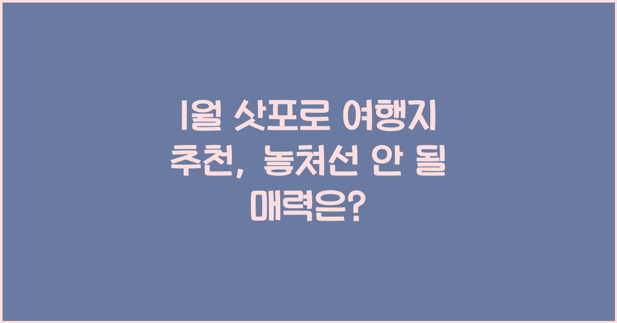 1월 삿포로 여행지 추천