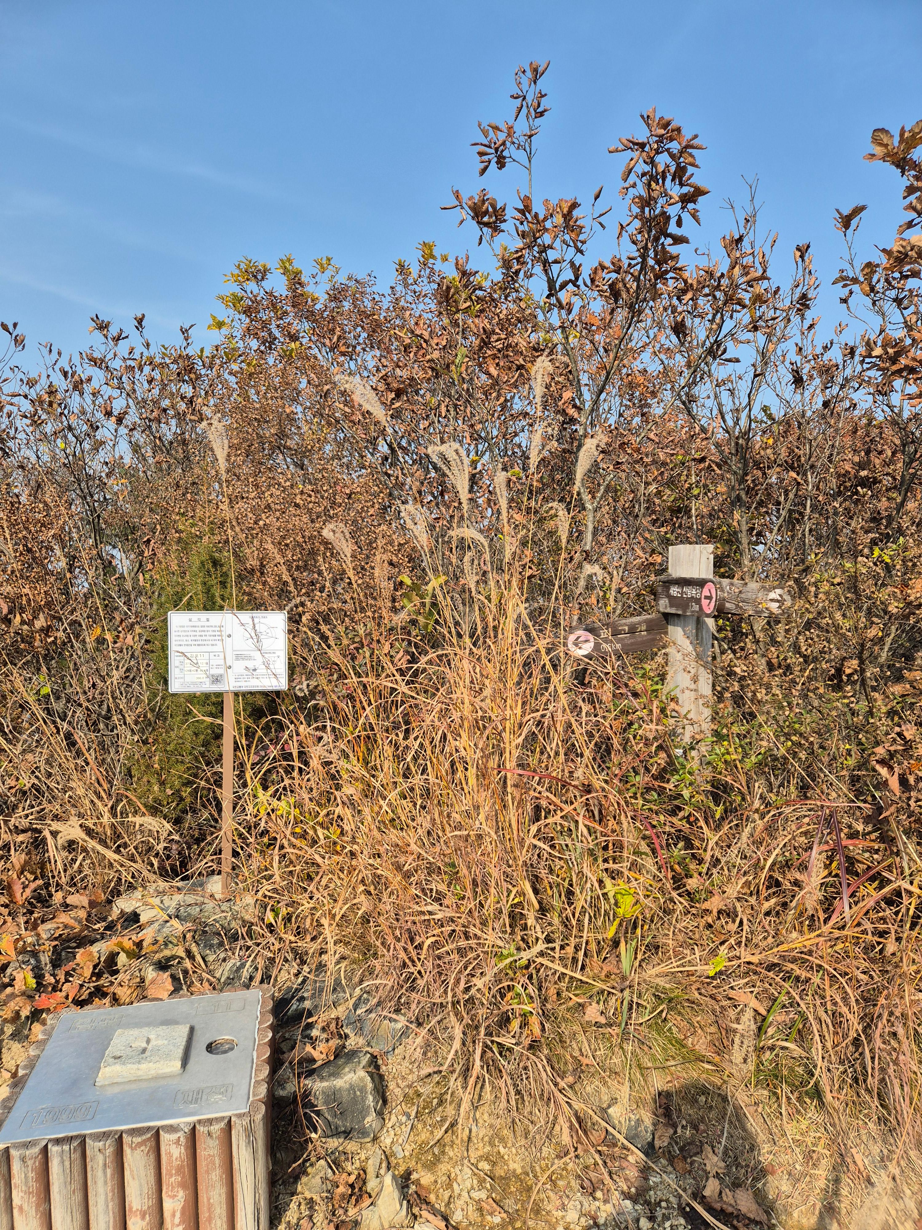 계양산 정상 가는 길