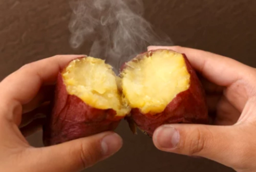 삶은 고구마 보관법