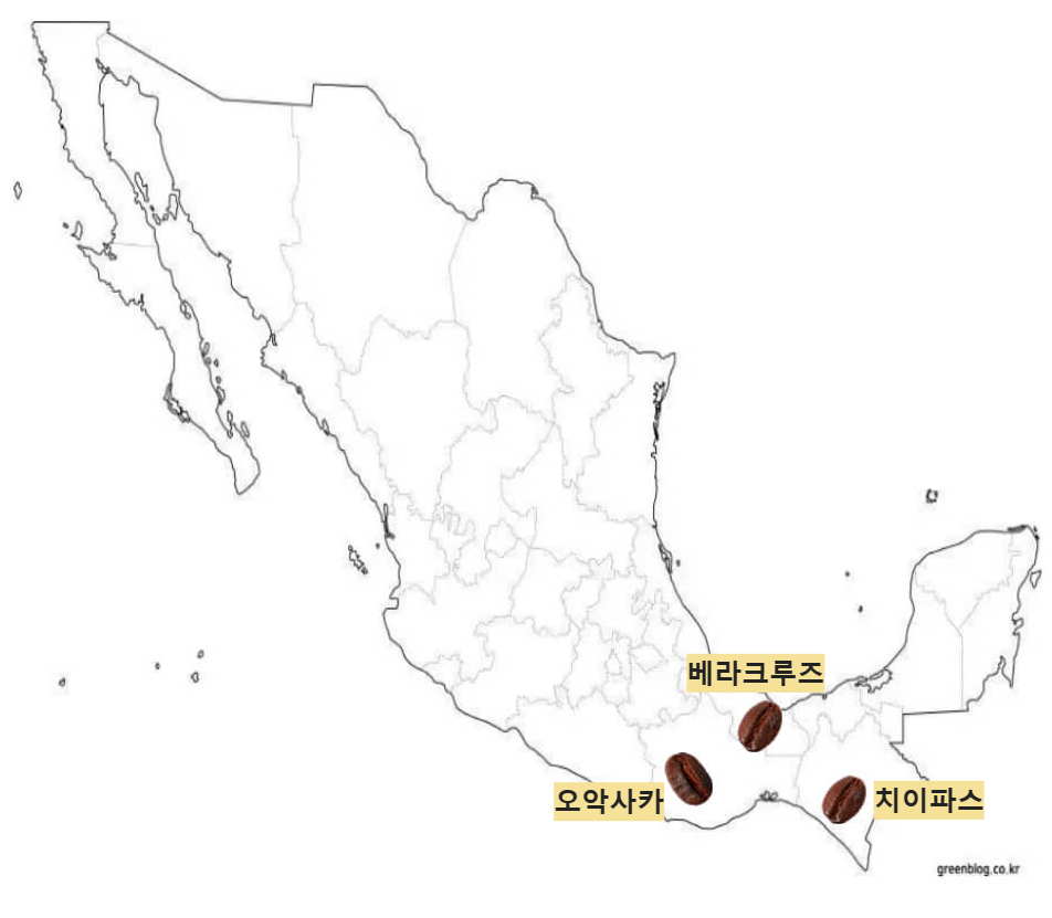 멕시코 커피