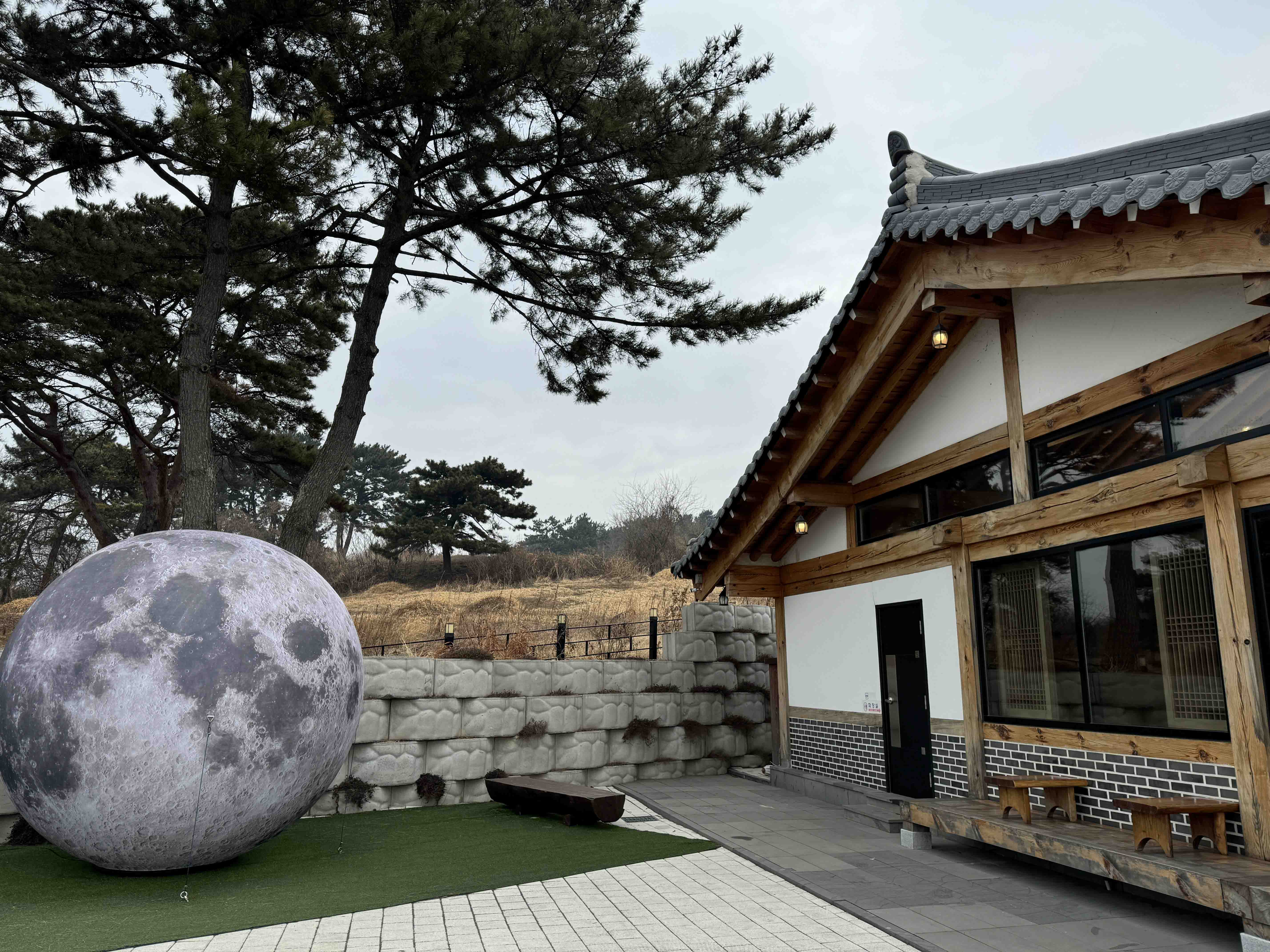 한옥 카페 선은재 삼계탕