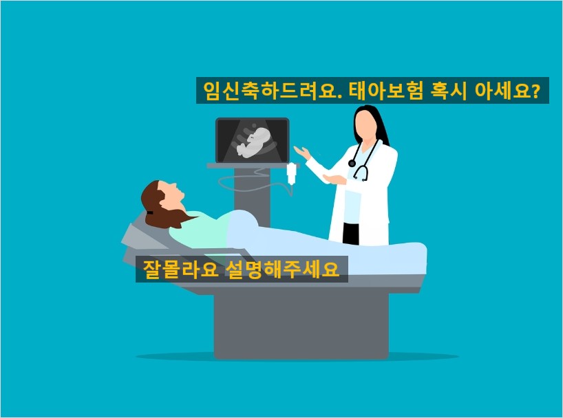 임산부에게 태아보험 설명해주는 의사