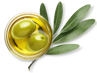 올리브 오일