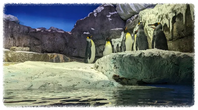 오사카 가이유칸 수족관