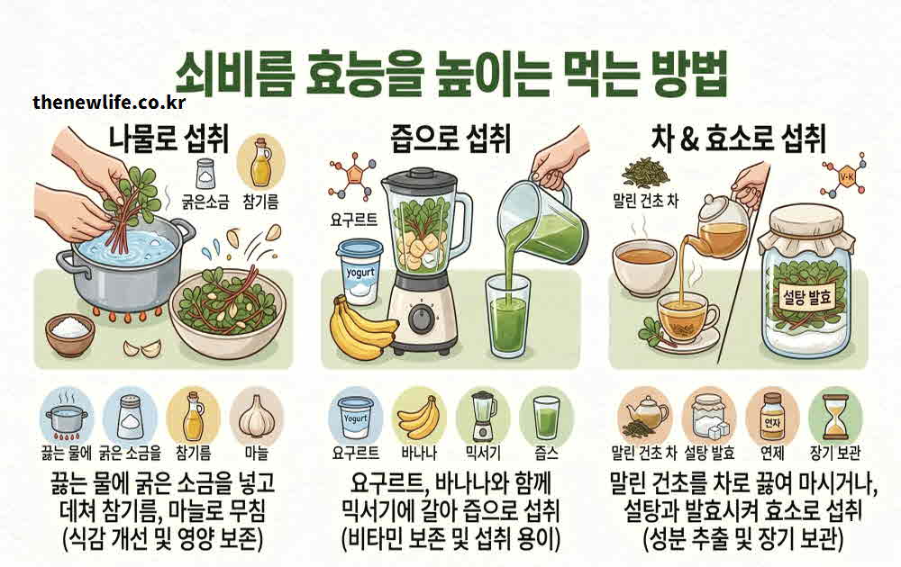 쇠비름 효능 높이는 먹는 방법
