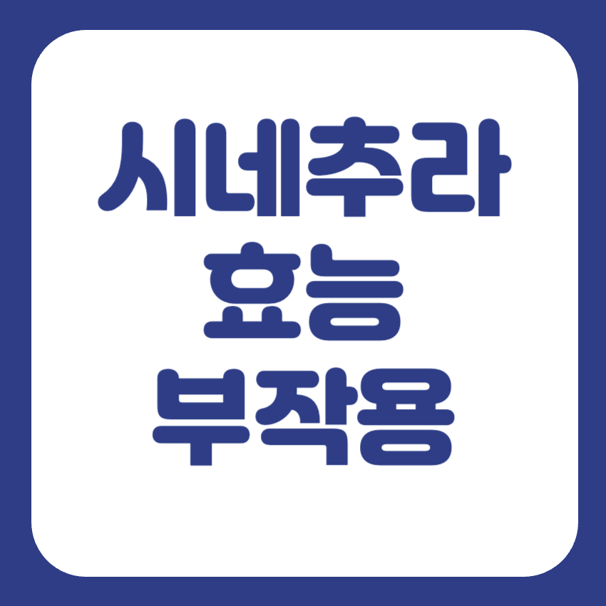 시네츄라시럽 부작용