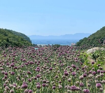 남해 가볼만한곳 베스트 10