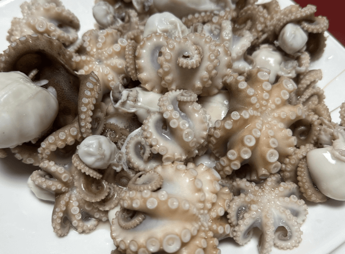 3월 제철음식 쭈꾸미 도다리 봄동 달래 냉이 방풍나물 미나리 가리비 참나물