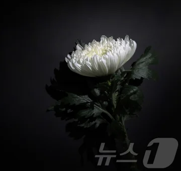 조모상 뜻 위로 연락 부의금 학교 친구 회사 휴가 연차 조문 위로말 총정리1