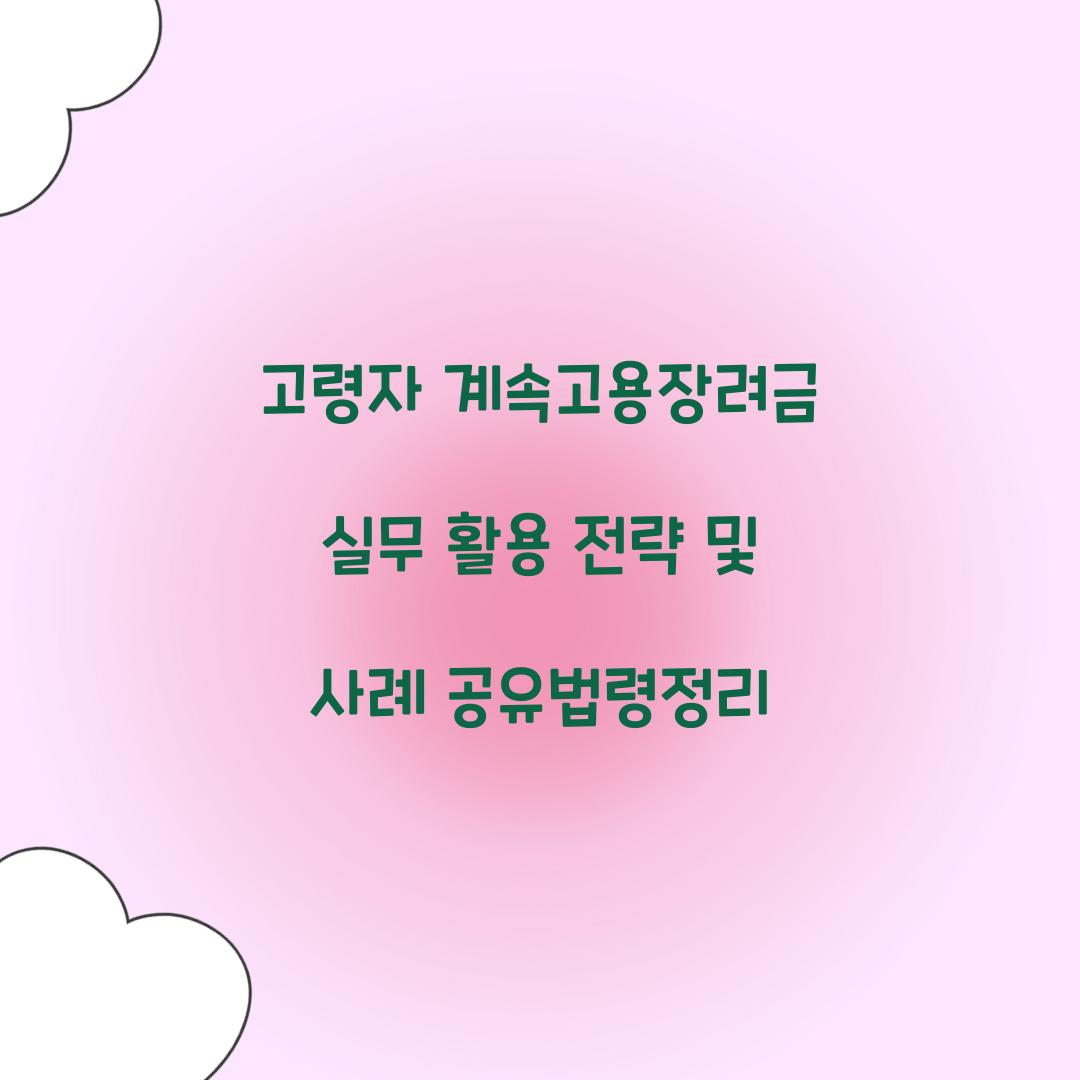 고령자 계속고용장려금