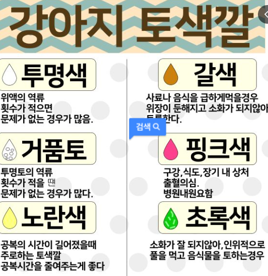 강아지 구토 색깔별 원인/출처:다음 이미지
